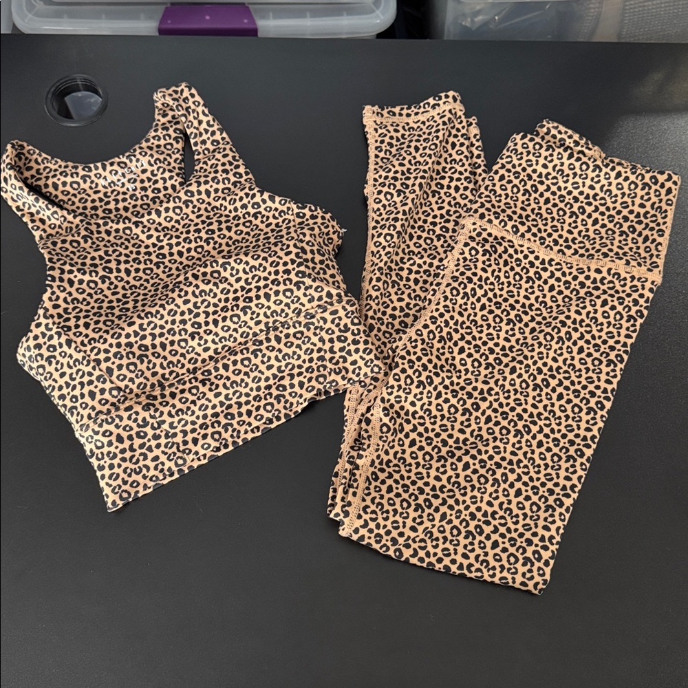 Leopard Print High-Waist Leggings & Crop Top Set - Tan/Black
